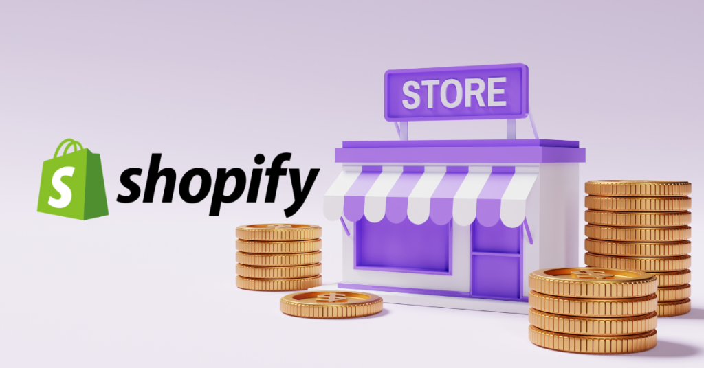 Affordable Shopify store setup